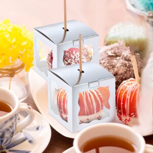 Dandat 50 Pieces 4 x 4 x 4 Inch Candy Apple Box with Hole and Stick Paper Caramel Apple Boxes Cookies Chocolate Gift Treat Boxes with Clear Windows Caramel Apple Containers for Wedding Christmas