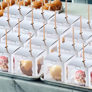 Dandat 50 Pieces 4 x 4 x 4 Inch Candy Apple Box with Hole and Stick Paper Caramel Apple Boxes Cookies Chocolate Gift Treat Boxes with Clear Windows Caramel Apple Containers for Wedding Christmas