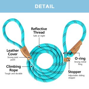 Petarea 5 FT Slip Lead Dog Leash, Heavy Duty Rope Leash for Small Medium Large Dogs, No Pull Training Lead with Reflective Thread, Strong Comfortable Loop Leash (Teal Stripe, Medium(3/8"))