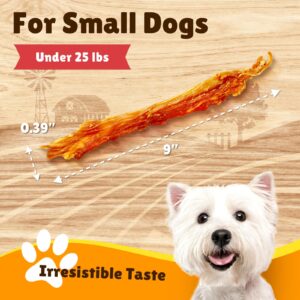 Gootoe Turkey Tendon Dog Treats – 100% USA-Sourced, Natural Snack, Premium Training Chews, Hypoallergenic, Reseal Value Bags, Size for Small Dogs, Strip (Small) 3oz/Pack