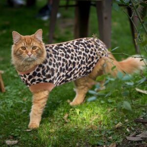 SAWMONG Cat Recovery Suit After Surgery Recovery Shirt Breathable E-Collar Alternative Non-Lick Pet Body Suit,Brow Leopard L