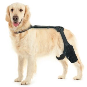 MerryMilo dog knee brace for torn acl hind leg -Upgraded Anti-Slip, Support for Cruciate Ligament Injury, Arthritis, Joint Pain, Muscle Sore, CCL Brace(Size: S, Left Leg)