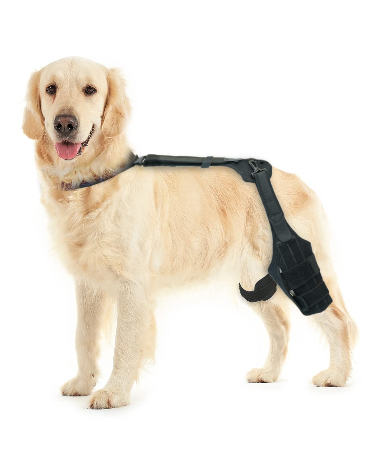 MerryMilo dog knee brace for torn acl hind leg -Upgraded Anti-Slip, Support for Cruciate Ligament Injury, Arthritis, Joint Pain, Muscle Sore, CCL Brace(Size: S, Left Leg)