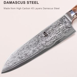 TUO Chef Knife 7 Inch - Japanese Santoku Knife Kitchen Knives, AUS-10 Damascus Steel 45-Layer Hand Forged Resin Handle with Gift Box