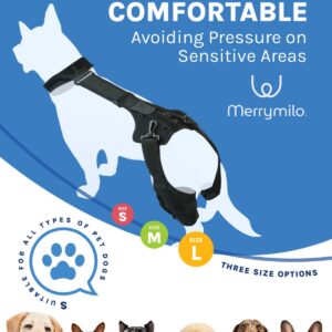 MerryMilo dog knee brace for torn acl hind leg -Upgraded Anti-Slip, Support for Cruciate Ligament Injury, Arthritis, Joint Pain, Muscle Sore, CCL Brace(Size: S, Left Leg)