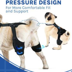 MerryMilo dog knee brace for torn acl hind leg -Upgraded Anti-Slip, Support for Cruciate Ligament Injury, Arthritis, Joint Pain, Muscle Sore, CCL Brace(Size: S, Left Leg)