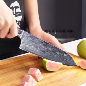 TUO Chef Knife 7 Inch - Japanese Santoku Knife Kitchen Knives, AUS-10 Damascus Steel 45-Layer Hand Forged Resin Handle with Gift Box