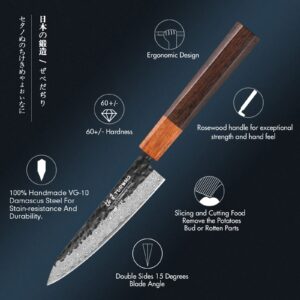 TURWHO 10.5-inch Japanese Sashimi Knife Hand Forged 67 Layers Damascus Steel Salmon Kitchen Knives