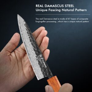 TURWHO 10.5-inch Japanese Sashimi Knife Hand Forged 67 Layers Damascus Steel Salmon Kitchen Knives