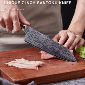 TUO Chef Knife 7 Inch - Japanese Santoku Knife Kitchen Knives, AUS-10 Damascus Steel 45-Layer Hand Forged Resin Handle with Gift Box