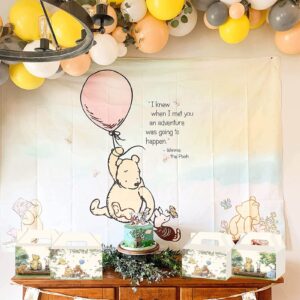 16 Pieces Classic Winnie Pooh Party Supplies, Winnie Pooh Baby Shower Decorations, Winnie Party Favor Boxes