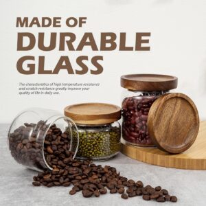 2PCS Small Glass Storage Jars with Airtight Lids, 17 fl oz (500ml) coffee container with Wooden Lid, Glass Pantry Canister for Beans, Rice, Sugar and etc (2PCS, 500ML)