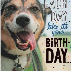 Cute Dog Riding in Car With His Face Hanging Out the Window Happy Birthday Card - Live Each Day Like It's Your Birthday... Relax... Have Fun... Enjoy the Ride.