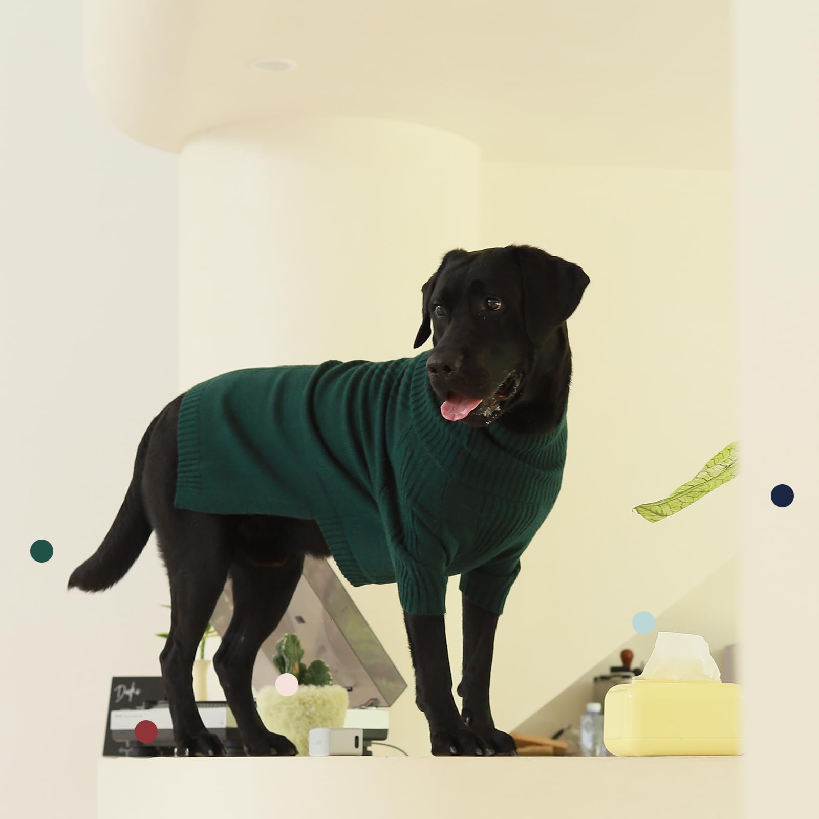 IECOii XXL Dog Sweater,Knit Big Dog Sweater Christmas,Pet Turtleneck Doggy Sweatshirt for Extra Large Dogs boy Girl,Large Size Dog Cold Weather Outfit English Bulldog Clothes for Winter,(Green XXL)