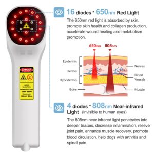 Cold Laser Therapy Device 4x808nm +16X650nm Low Level Laser Therapy for Pain Relief Arthritis Muscle Joints Tissue Red Light Therapy for Dog Cat Horse Pets Wound Healing Reduce Inflammation