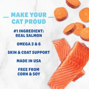 Shameless Pets Crunchy Cat Treats - Kitty Treats for Cats with Skin & Coat Support, Natural Ingredients Kitten Treats with Real Salmon, Healthy Flavored Feline Snacks - Yam Good Salmon, 1-Pk