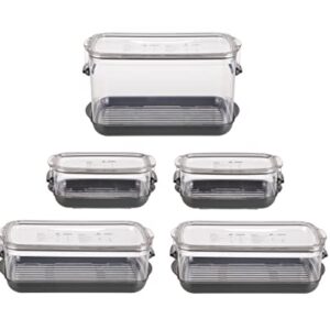 Progressive International Prepworks ProKeeper Food Fresh Produce Storage Container Set, 5- Piece, Clear Containers with Gray Sealed Tight Lids