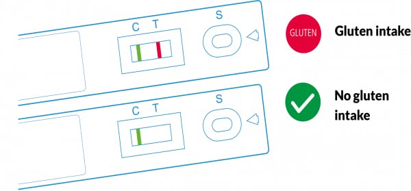 Gluten Detect at-Home 2 Pack Stool Test to Monitor Past Gluten Exposure in The Gluten Free Diet to Prevent Future Gluten Related Symptoms