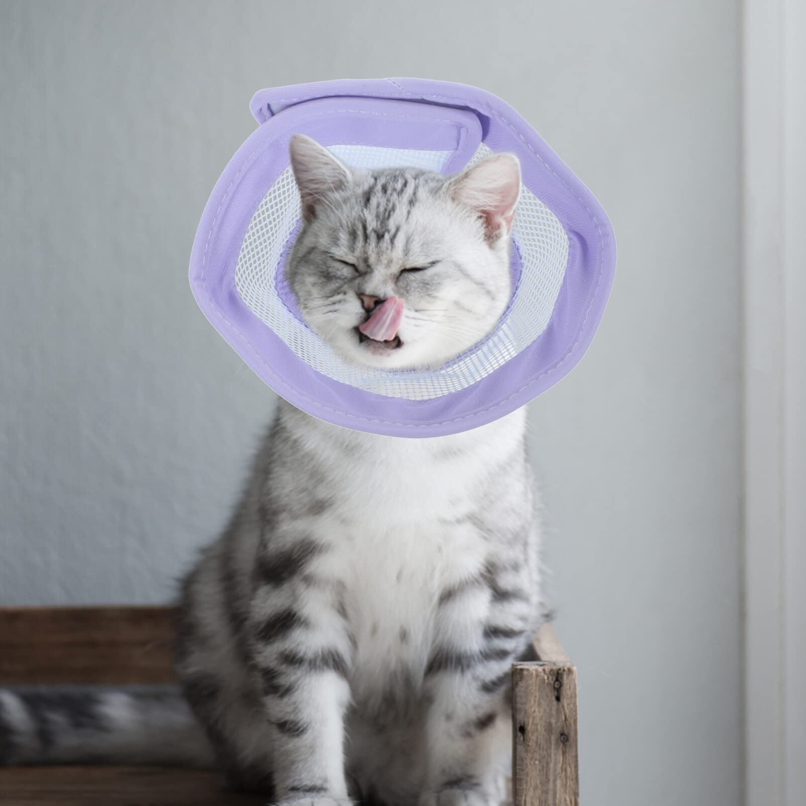 POPETPOP Compound Cone Collar cat Head Cone Dog Cone Collar cat cat Elizabethan Collar Soft cat Recovery Collar pet Collar Dog After-Surgery Collar Breathable PVC Small pet