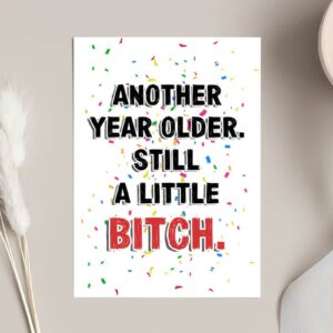 Emily gift Another Year Older. still A Little Bitch Card - Brother Sister Birthday Card - Funny Birthday Card - Sister Birthday Card - Birthday Card For Sibling