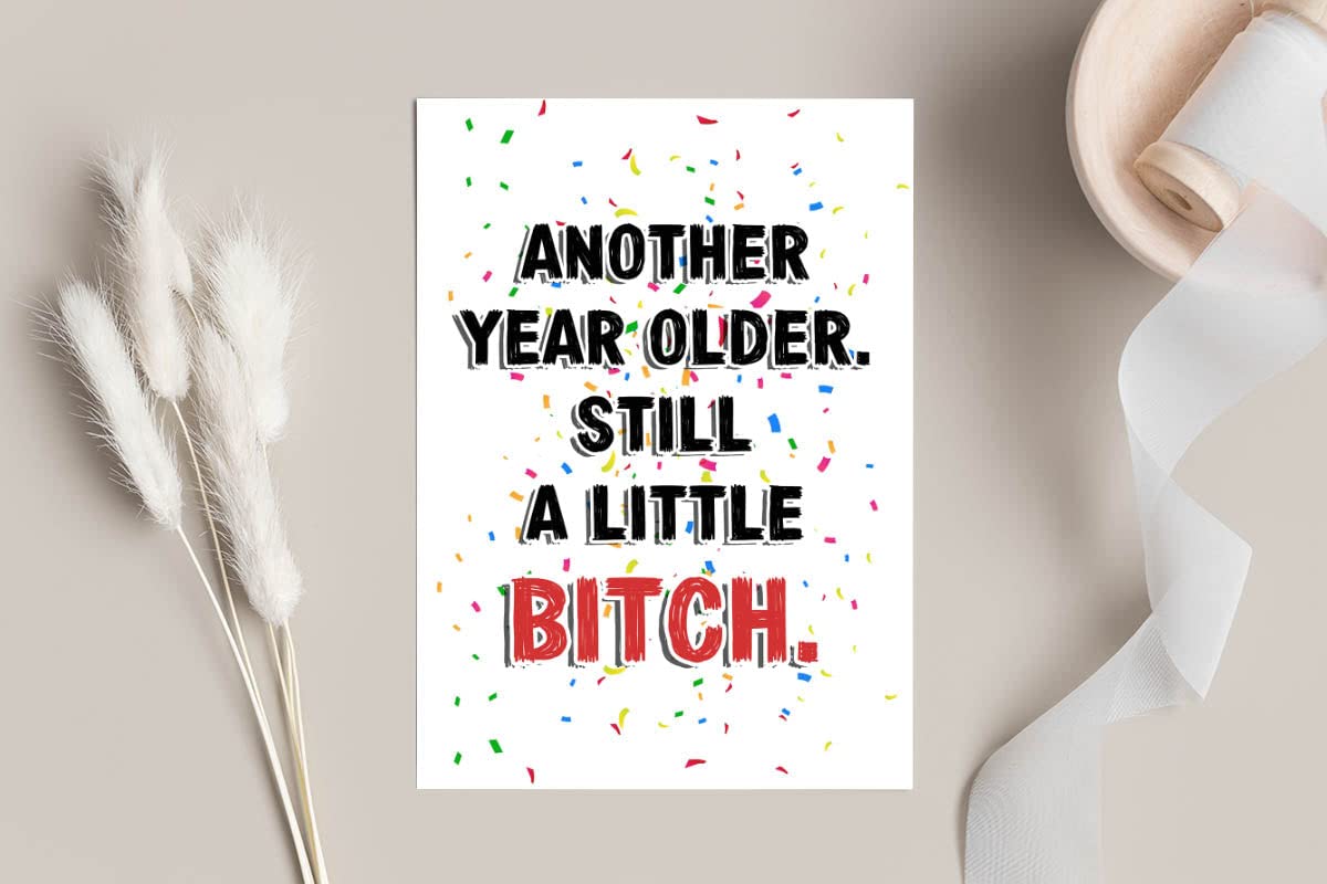 Emily gift Another Year Older. still A Little Bitch Card - Brother Sister Birthday Card - Funny Birthday Card - Sister Birthday Card - Birthday Card For Sibling