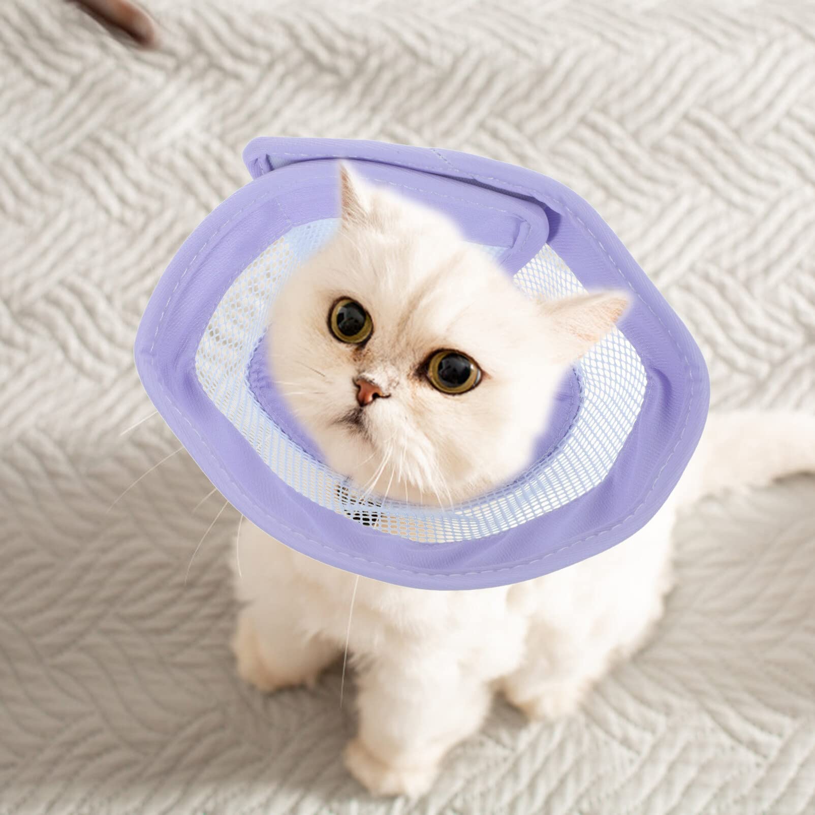 POPETPOP Compound Cone Collar cat Head Cone Dog Cone Collar cat cat Elizabethan Collar Soft cat Recovery Collar pet Collar Dog After-Surgery Collar Breathable PVC Small pet