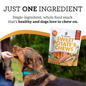 Dr. Harvey's Sweet Potato Chews for Dogs, Dog Treats for Small, Medium, Large Dogs, Natural Dog Snacks for Training, Healthy Teeth, Preventing Bad Breath, and Aggressive Chewers, USA Grown (3 Pack)