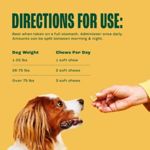 Furtify Hip and Joint Chews for Dogs I Dog Joint Supplement with Glucosamine, Chondroitin, MSM, Green Lipped Mussel & Turmeric I Soft & Chewable Support for Pet Health, Mobility and Stiffness - 90 ct