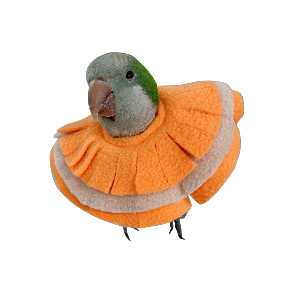 RRRIOT Adjustable Parrot Cone Collar, Safe and Practical Cotton Collar to Prevent Bites and Licking Wounds, to Help heal (2XL)