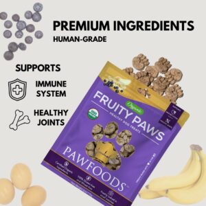 PawFoods Treats Fruity Paws - Organic Dog Treats Healthy, Low Calorie Puppy Treats for Joint and Hip Support, Tasty Natural Treats for All Dogs, Only 5 Cal, Approx. 60 per Bag - 170g - Made in USA