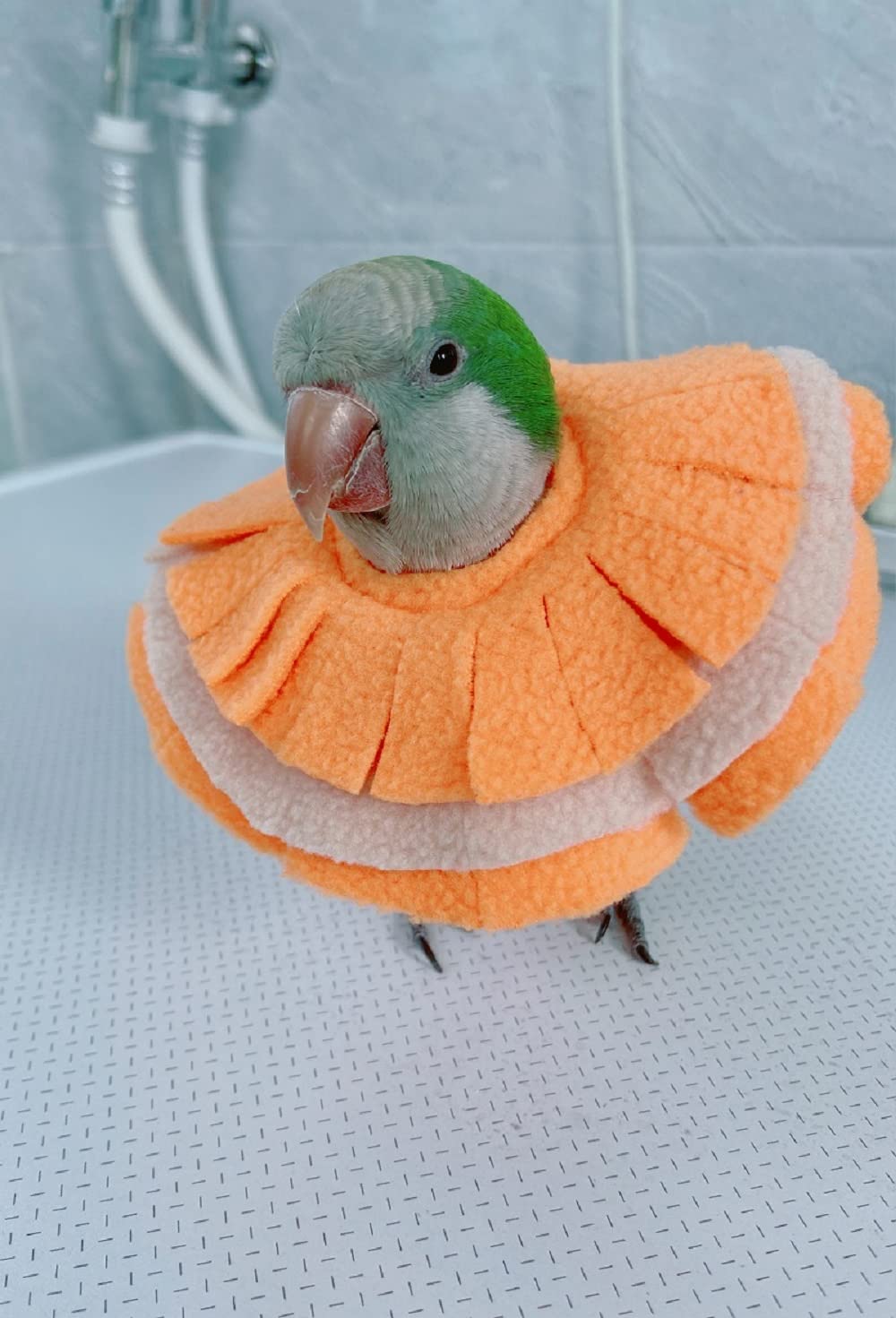 Adjustable Parrot Cone Collar, Safe and Practical Cotton Collar to Prevent Bites and Licking Wounds, to Help heal (S)