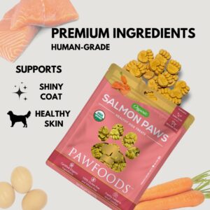 PawFoods Salmon Dog Treats - Organic Dog Treats with Salmon - Shiny Coat Healthy Skin, Omega 3 & 6, Low Calorie Dog Training Treats, Healthy Dog Treats - Approx. 60 Treats Per Bag - 170g - Made in USA