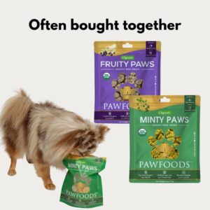 PawFoods Treats Fruity Paws - Organic Dog Treats Healthy, Low Calorie Puppy Treats for Joint and Hip Support, Tasty Natural Treats for All Dogs, Only 5 Cal, Approx. 60 per Bag - 170g - Made in USA