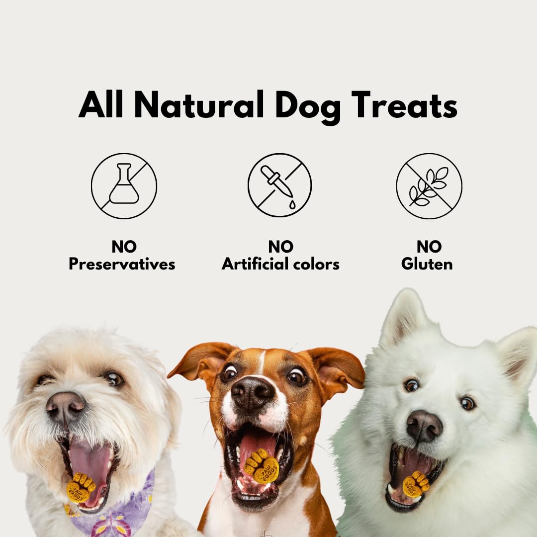 PawFoods Salmon Dog Treats - Organic Dog Treats with Salmon - Shiny Coat Healthy Skin, Omega 3 & 6, Low Calorie Dog Training Treats, Healthy Dog Treats - Approx. 60 Treats Per Bag - 170g - Made in USA