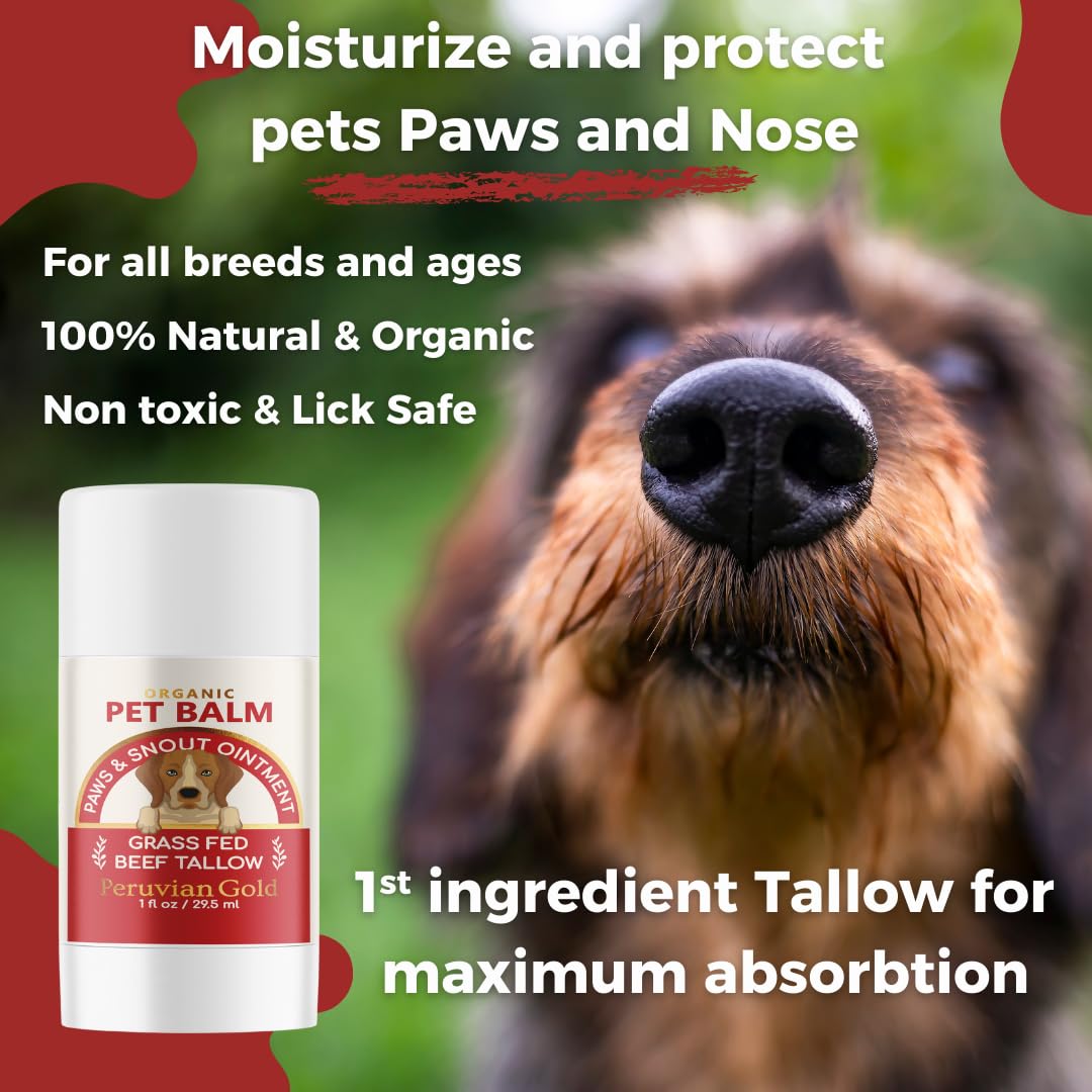 Paws & Snout Balm - 100% Organic Beef Tallow for Naturally Moisturized and Nourished Skin, Perfect for Cracked, Dry, or Sun Damaged Skin, with Easy-to-Use Applicator for You and Your Pet