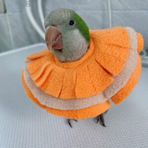 Adjustable Parrot Cone Collar, Safe and Practical Cotton Collar to Prevent Bites and Licking Wounds, to Help heal (S)