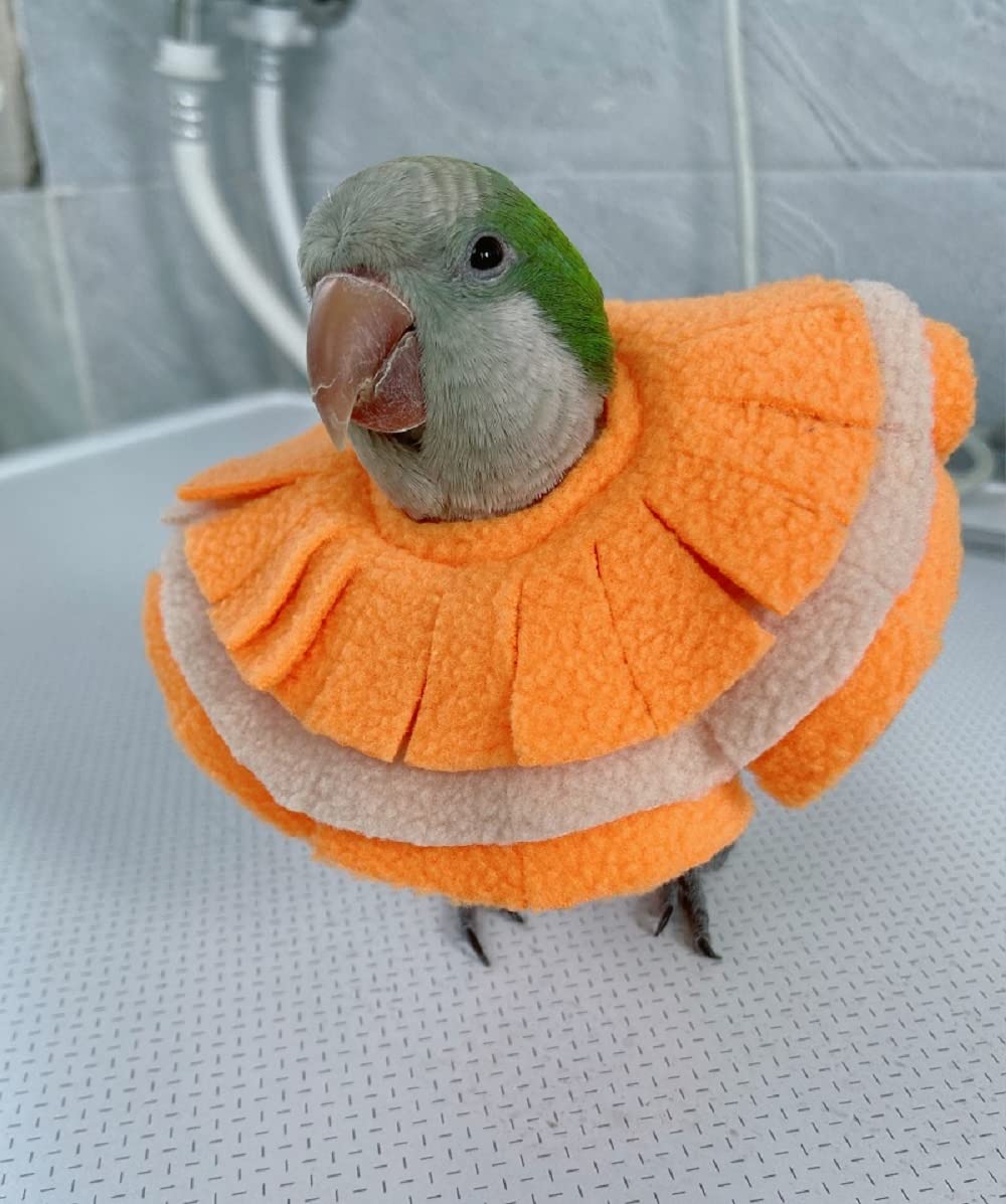 Adjustable Parrot Cone Collar, Safe and Practical Cotton Collar to Prevent Bites and Licking Wounds, to Help heal (S)