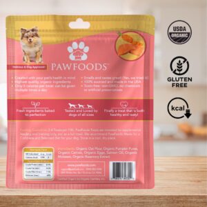 PawFoods Salmon Dog Treats - Organic Dog Treats with Salmon - Shiny Coat Healthy Skin, Omega 3 & 6, Low Calorie Dog Training Treats, Healthy Dog Treats - Approx. 60 Treats Per Bag - 170g - Made in USA