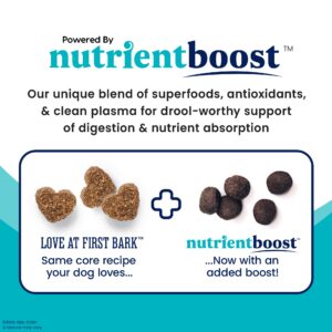 Solid Gold Dry Puppy Food w/Nutrientboost - Made with Real Chicken & Nutritious Superfoods - Love at First Bark Grain Free Puppy Dry Food for Healthy Growth, Energy and Gut Wellness - 22 LB Bag