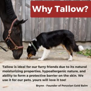 Paws & Snout Balm - 100% Organic Beef Tallow for Naturally Moisturized and Nourished Skin, Perfect for Cracked, Dry, or Sun Damaged Skin, with Easy-to-Use Applicator for You and Your Pet