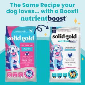 Solid Gold Dry Puppy Food w/Nutrientboost - Made with Real Chicken & Nutritious Superfoods - Love at First Bark Grain Free Puppy Dry Food for Healthy Growth, Energy and Gut Wellness - 22 LB Bag