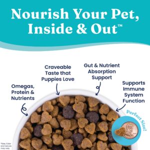 Solid Gold Dry Puppy Food w/Nutrientboost - Made with Real Chicken & Nutritious Superfoods - Love at First Bark Grain Free Puppy Dry Food for Healthy Growth, Energy and Gut Wellness - 3.75 LB Bag