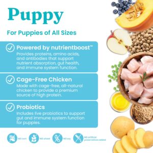 Solid Gold Dry Puppy Food w/Nutrientboost - Made with Real Chicken & Nutritious Superfoods - Love at First Bark Grain Free Puppy Dry Food for Healthy Growth, Energy and Gut Wellness - 22 LB Bag