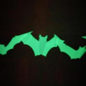 Forbidden Road 12 Pieces Bats Decoration Glow in The Dark Bat Stickers 3D DIY Bats Decor Luminous Bats Wall Decor Bats Decor Wall Stickers Bat Decals (12pcs, Green)