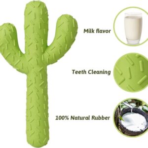 Southern Home Farm Dog Desert Durability: Durable Cactus Natural Rubber Dog Toy for Endless Fun! Cactus Super Tough Dog Toys for Small/Medium/Large (Green)