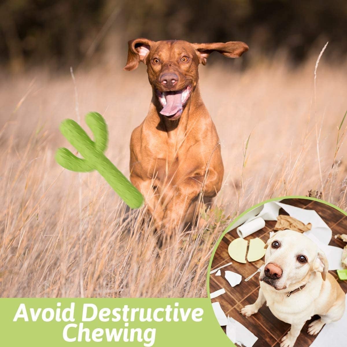 Southern Home Farm Dog Desert Durability: Durable Cactus Natural Rubber Dog Toy for Endless Fun! Cactus Super Tough Dog Toys for Small/Medium/Large (Green)