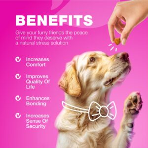 Dog UTI Treatment - Dog Cranberry Supplement for Urinary Tract, Bladder & Kidney Health, Incontinence Support - Bladder Control Cranberry Chews - Cranberry Supplement for Dog Incontinence