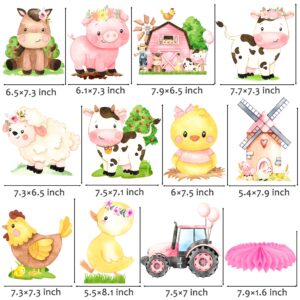 11Pcs Pink Farm Animals Honeycomb Centerpieces Farm Theme Party Table Centerpieces Barnyard Party Honeycomb Decorations Farm Birthday Party Table Decorations for Farm Theme Baby Shower Supplies