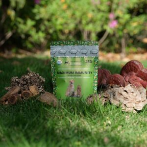 MAXIMUM IMMUNITY >25% β-glucan 100% Mushrooms Fruiting Body Extracts, Veterinarians formulation for Dogs & Cats Immune & Digestive Systems with Turkey tail & >35% β-glucan Reishi extracts.250 SERVINGS