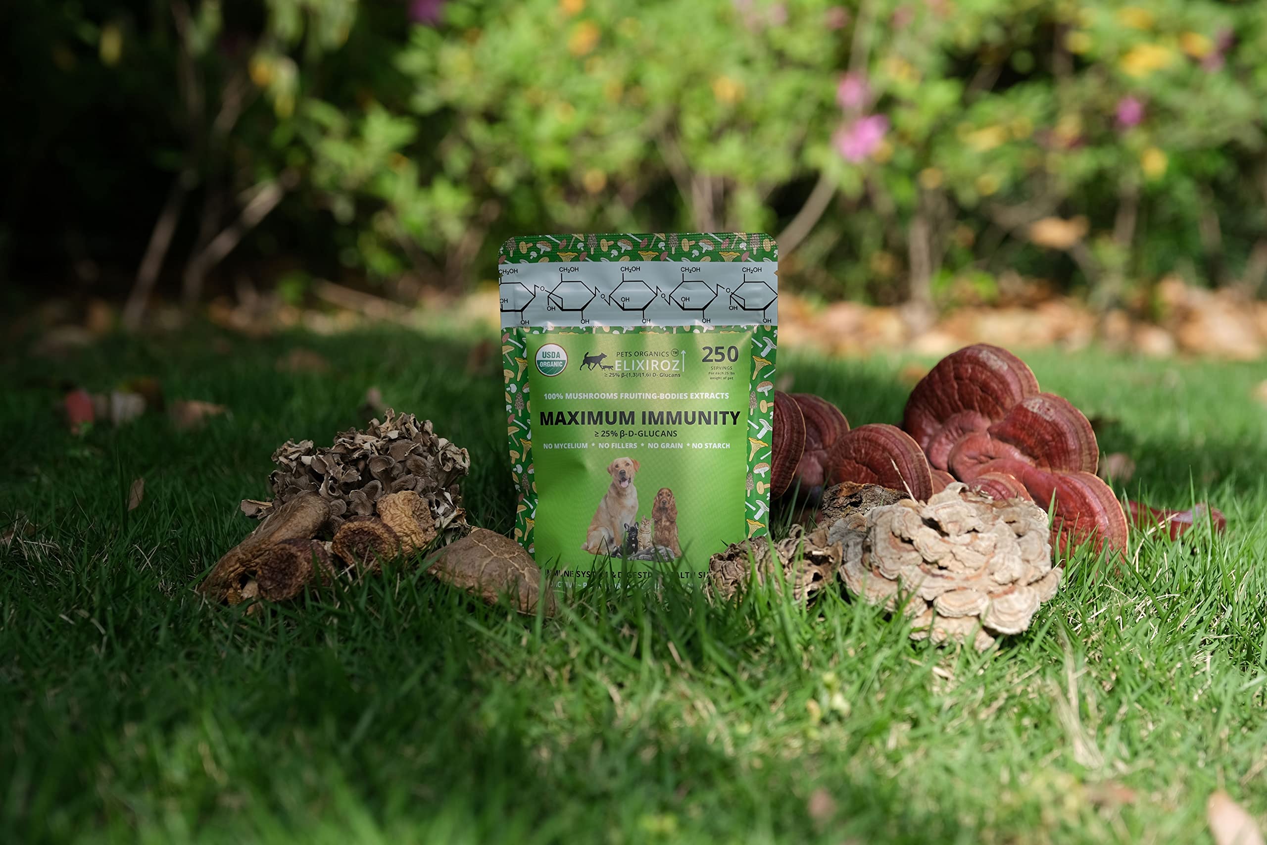 MAXIMUM IMMUNITY >25% β-glucan 100% Mushrooms Fruiting Body Extracts, Veterinarians formulation for Dogs & Cats Immune & Digestive Systems with Turkey tail & >35% β-glucan Reishi extracts.250 SERVINGS